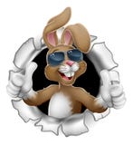 Easter Bunny Thumbs Up Cool Rabbit in Sunglasses. Easter bunny rabbit cartoon character in cool sunglasses or shades breaking through the background and giving a