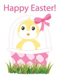 Easter Chick Royalty Free Stock Photography