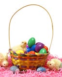 Easter Chicks Stock Photo Easter Chicks Stock Photo