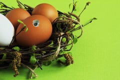 Brown egg with curious eye among multicolored eggs in nest of birch twigs with green leaves and earrings on light green background stock photography Brown egg with curious eye among multicolored eggs in nest of birch twigs with green leaves and earrings on light green background stock photography