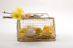 Easter Decoration Chickens In A Cage Stock Images