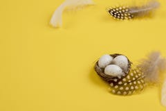 Easter decoration nest with eggs and feathers yellow background. Stock Image Easter decoration nest with eggs and feathers yellow background. Stock Image