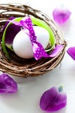 Easter Egg In A Nest Royalty Free Stock Image Easter Egg In A Nest Royalty Free Stock Image