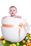 Easter Egg With Baby Stock Photo