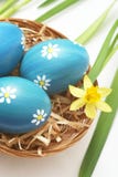 Easter Eggs Stock Photos