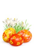Easter Eggs And Flowers Stock Images