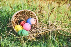 Easter eggs hunt on green grass outdoor Basket nest egg colorful decorated festive on meadow stock image Easter eggs hunt on green grass outdoor Basket nest egg colorful decorated festive on meadow stock image