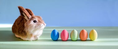 Easter eggs and little cute rabbit stock images Easter eggs and little cute rabbit stock images