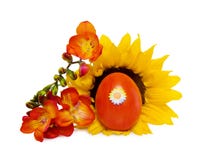 Easter Red Egg With Sunflower Over White Royalty Free Stock Photo Easter Red Egg With Sunflower Over White Royalty Free Stock Photo