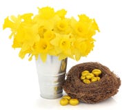 Easter Time Royalty Free Stock Images