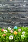 easter ägggräs Royaltyfri Fotografi easter ägggräs Royaltyfri Fotografi
