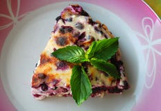 Eaten Cheesecake with bluberries and fresh peppermint leaves on top royalty free stock photography Eaten Cheesecake with bluberries and fresh peppermint leaves on top royalty free stock photography