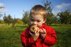 Eating An Apple Eating An Apple