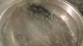 Ebuli??o da massa da tinta do calamar da agita??o da receita do cozinheiro dos espaguetes video estoque Ebuli??o da massa da tinta do calamar da agita??o da receita do cozinheiro dos espaguetes video estoque