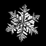 Echte die sneeuwvlok op zwarte achtergrond wordt geïsoleerd royalty-vrije illustratie Echte die sneeuwvlok op zwarte achtergrond wordt geïsoleerd royalty-vrije illustratie