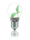 Eco friendly bulb