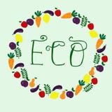 Eco hand het getrokken van letters voorzien, omringd door fruit en groenten stock illustratie Eco hand het getrokken van letters voorzien, omringd door fruit en groenten stock illustratie