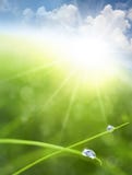 Eco Hintergrund mit Himmel, Gras, Wasser fällt lizenzfreies stockbild Eco Hintergrund mit Himmel, Gras, Wasser fällt lizenzfreies stockbild