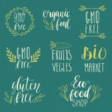 Eco, naturaleza, vegano, bio logotipos de la comida Letras manuscritas Vector los elementos para las etiquetas, los logotipos, la Fotos de archivo libres de regalías Eco, naturaleza, vegano, bio logotipos de la comida Letras manuscritas Vector los elementos para las etiquetas, los logotipos, la Fotos de archivo libres de regalías