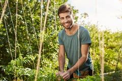 Eco życzliwy pojęcie zdrowego stylu życia Outdoors portret młody atrakcyjny brodaty caucasian męski średniorolny ono uśmiecha się zdjęcia stock Eco życzliwy pojęcie zdrowego stylu życia Outdoors portret młody atrakcyjny brodaty caucasian męski średniorolny ono uśmiecha się zdjęcia stock