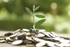 Economy And Finance Stock Image Economy And Finance Stock Image