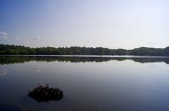Ecosistema naturale nella zona costiera immagini stock libere da diritti Ecosistema naturale nella zona costiera immagini stock libere da diritti