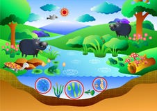 Free Ecosystem Diagram Stock Photography - 88973692