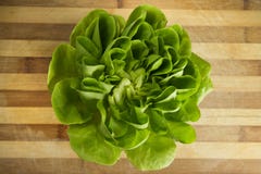 EDZR - Fresh Lettuce On A Wood Table Royalty Free Stock Photo