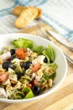 EDZR-Pasta Salad With Toasts Royalty Free Stock Images