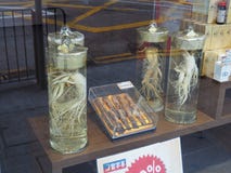 Een beeld van ginseng die voor verkoop dichtbij Sheung Bleek in Hong Kong worden aangeboden In China is het stock foto Een beeld van ginseng die voor verkoop dichtbij Sheung Bleek in Hong Kong worden aangeboden In China is het stock foto