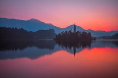 Een Eiland met Kerk in Afgetapt Meer, Slovenië bij Zonsopgang stock fotografie Een Eiland met Kerk in Afgetapt Meer, Slovenië bij Zonsopgang stock fotografie