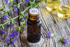 Een fles hyssopetherische olie met het verse bloeien hyssop stock foto Een fles hyssopetherische olie met het verse bloeien hyssop stock foto