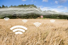 Een gebied van tarwe met symbolen van draadloze gegevensuitwisseling Digitale technologieën in landbouw stock foto Een gebied van tarwe met symbolen van draadloze gegevensuitwisseling Digitale technologieën in landbouw stock foto