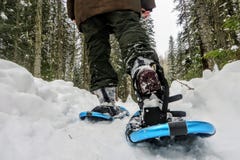 Een grondmening en een close-up van de benen en de voeten van een persoon die aardige sneeuwschoenen dragen aangezien zij met het stock afbeeldingen Een grondmening en een close-up van de benen en de voeten van een persoon die aardige sneeuwschoenen dragen aangezien zij met het stock afbeeldingen