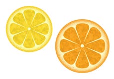 Een hand van het elengat nog-leven die met gekleurde potloden wordt getrokken vector illustratie Een hand van het elengat nog-leven die met gekleurde potloden wordt getrokken vector illustratie