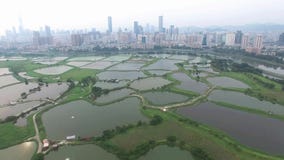 Een horizon luchtmening van vissen pong onder smokey Hong Kong naast Shenzhen China stock video Een horizon luchtmening van vissen pong onder smokey Hong Kong naast Shenzhen China stock video