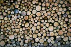 Een keurige stapel gesneden boomboomstammen Hoge resolutie, rand aan rand stock fotografie Een keurige stapel gesneden boomboomstammen Hoge resolutie, rand aan rand stock fotografie