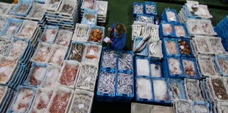 Een koper die specieskwaliteit en grootte controleren op vissenmarkt Stock Afbeeldingen Een koper die specieskwaliteit en grootte controleren op vissenmarkt Stock Afbeeldingen