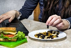 Een meisje werkt achter laptop en neemt uit een plaat droge vruchten, een sandwich, een snack op het werk, close-up royalty-vrije stock foto Een meisje werkt achter laptop en neemt uit een plaat droge vruchten, een sandwich, een snack op het werk, close-up royalty-vrije stock foto