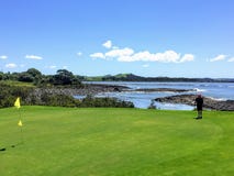 Een mens die een put opstellen terwijl het golfing in Waitangi, het Noordeneiland, Nieuw Zeeland royalty-vrije stock fotografie Een mens die een put opstellen terwijl het golfing in Waitangi, het Noordeneiland, Nieuw Zeeland royalty-vrije stock fotografie
