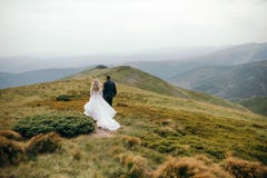 Een mooi paar van bruiden die buiten lopen stock foto's Een mooi paar van bruiden die buiten lopen stock foto's