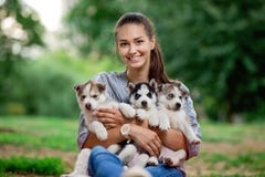 Een mooie glimlachende vrouw met een paardestaart en het dragen van een gestreept overhemd houdt drie zoete schor puppy op het ga royalty-vrije stock afbeelding Een mooie glimlachende vrouw met een paardestaart en het dragen van een gestreept overhemd houdt drie zoete schor puppy op het ga royalty-vrije stock afbeelding