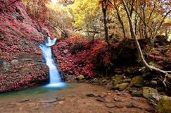 Een mooie zijdeachtige waterval die onderaan de bemoste rotsen in een vijver in een geheim ravijn tuimelen stock afbeelding Een mooie zijdeachtige waterval die onderaan de bemoste rotsen in een vijver in een geheim ravijn tuimelen stock afbeelding