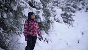 Een neemt de jonge vrouwengangen alleen door een sneeuw bos Jonge mooie toerist door de sneeuwafwijkingen heimelijk zij kijkt ron stock videobeelden Een neemt de jonge vrouwengangen alleen door een sneeuw bos Jonge mooie toerist door de sneeuwafwijkingen heimelijk zij kijkt ron stock videobeelden