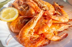 Een Plaat van Koning Prawns met Citroen stock afbeelding Een Plaat van Koning Prawns met Citroen stock afbeelding