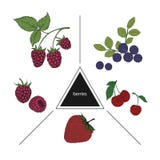 Een reeks bessen: bosbessen, kersen, frambozen en strawbe stock illustratie Een reeks bessen: bosbessen, kersen, frambozen en strawbe stock illustratie