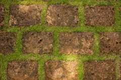 Een rode muur van vulkanische poreuze stenen en heldergroen gras natuurlijke oppervlaktetextuur royalty-vrije stock afbeelding Een rode muur van vulkanische poreuze stenen en heldergroen gras natuurlijke oppervlaktetextuur royalty-vrije stock afbeelding
