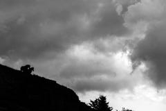 Een silhouet van een paar paarden over een bergklip op MT Subasio Umbrië, Italië, tegen een bewolkte hemel royalty-vrije stock foto Een silhouet van een paar paarden over een bergklip op MT Subasio Umbrië, Italië, tegen een bewolkte hemel royalty-vrije stock foto