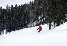 Een skiër ski?t onderaan de helling bij een bosmens draagt rood jasje stock afbeelding Een skiër ski?t onderaan de helling bij een bosmens draagt rood jasje stock afbeelding