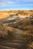 Een sleep anong badlands in Dinosaurus Provinciaal Park stock afbeeldingen Een sleep anong badlands in Dinosaurus Provinciaal Park stock afbeeldingen